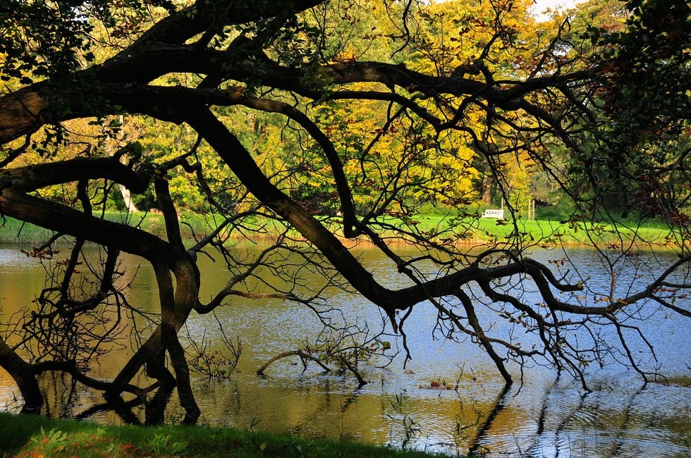 Manor Park Kartzitz, © Tourismuszentrale Rügen