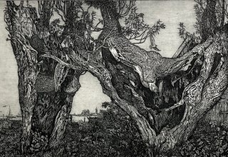 &copy; Kunstmuseum Ahrenshoop