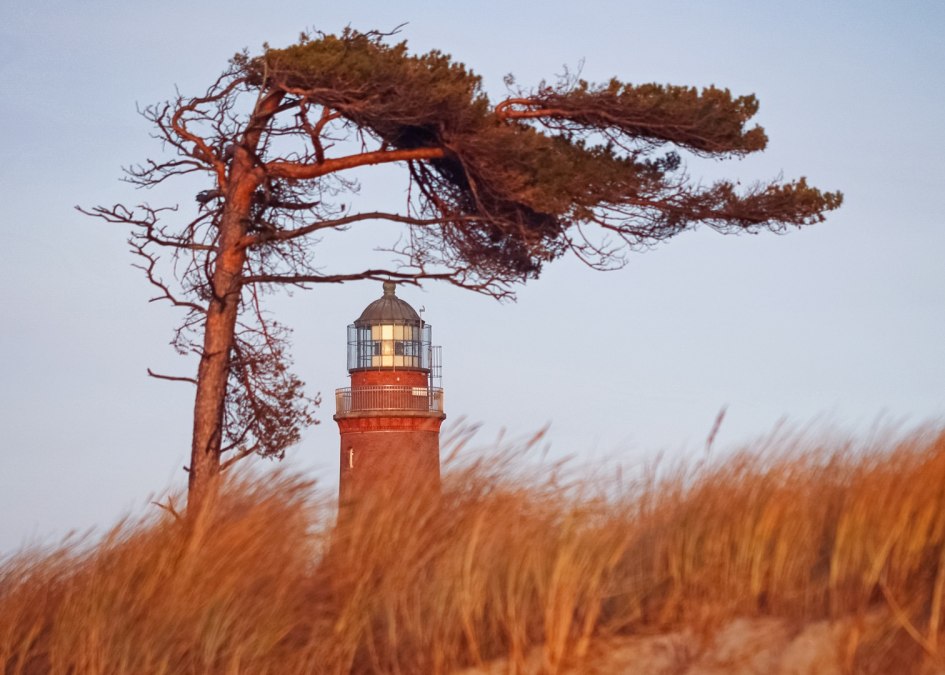 The Darss west beach is adorned by a lighthouse, which is part of the NATUREUM., © Anke Neumeister/Deutsches Meeresmuseum