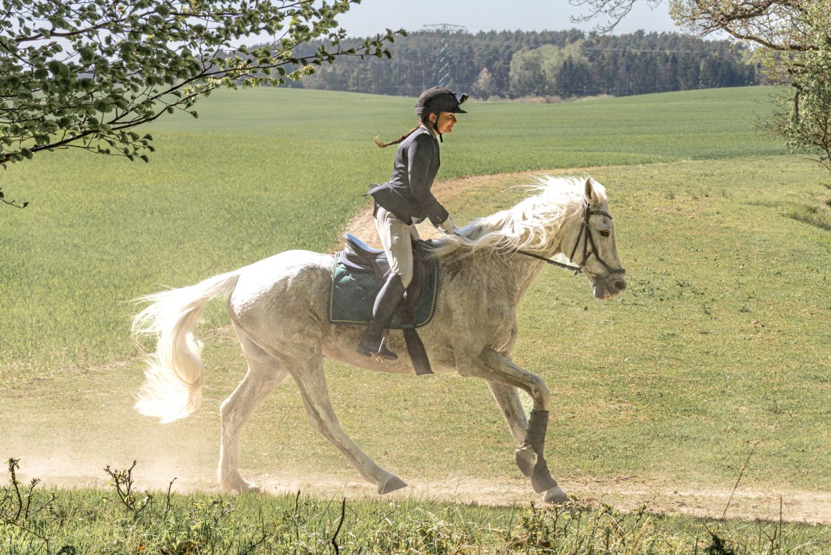 Horseback Hunt // © Martha Eugenia Bende Horseback Hunt // © Martha Eugenia Bende
