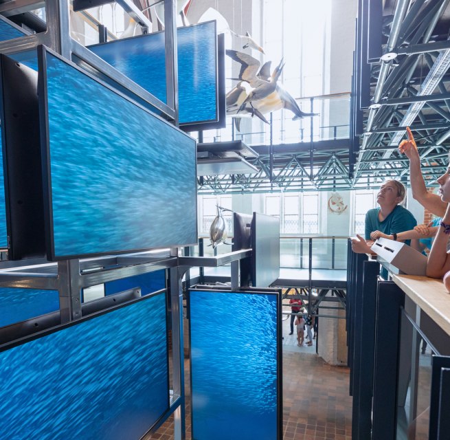 A medially staged shoal of sardines is part of the entrance installation at the MEERESMUSEUM, which can be experienced from three floors up, &copy; Anke Neumeister/Deutsches Meeresmuseum