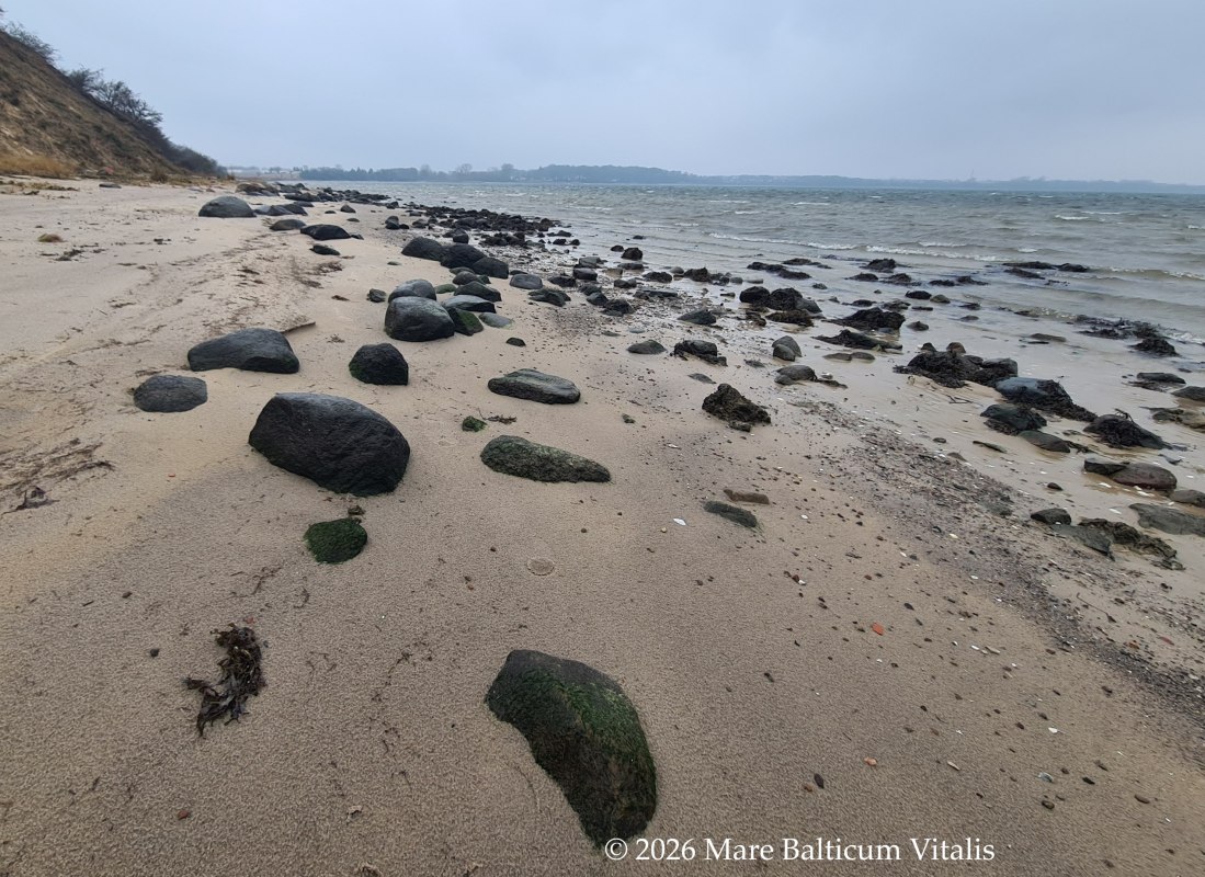 Mare Balticum Vitalis - Power Walk // &copy; Mare Balticum Vitalis, Inh. Janine Hahn