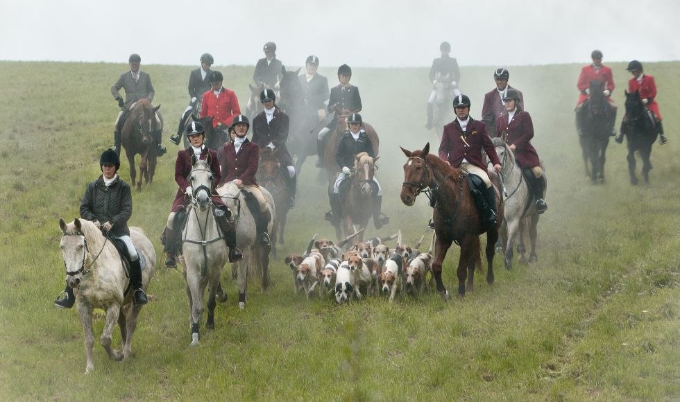 Voltooi een trainingsrit met de Nienhäger Foxhound roedel op Anika's vakantie- en avonturenboerderij, © Anikas Urlaubs- und Erlebnishof/ Markgraf