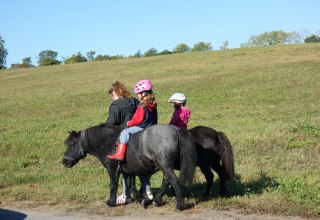 Lisa beim Ponnireiten mit Franklin und Tomy // &copy; Anja Debniak