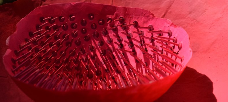 © Renate U. Schürmeyer © Renate U. Schürmeyer