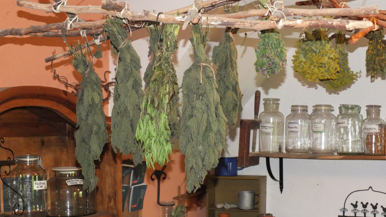 Herbs are gently dried // &copy; M. Hagemann