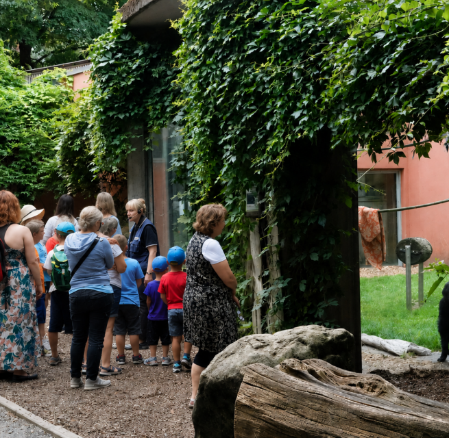 © Hansestadt Stralsund © Hansestadt Stralsund