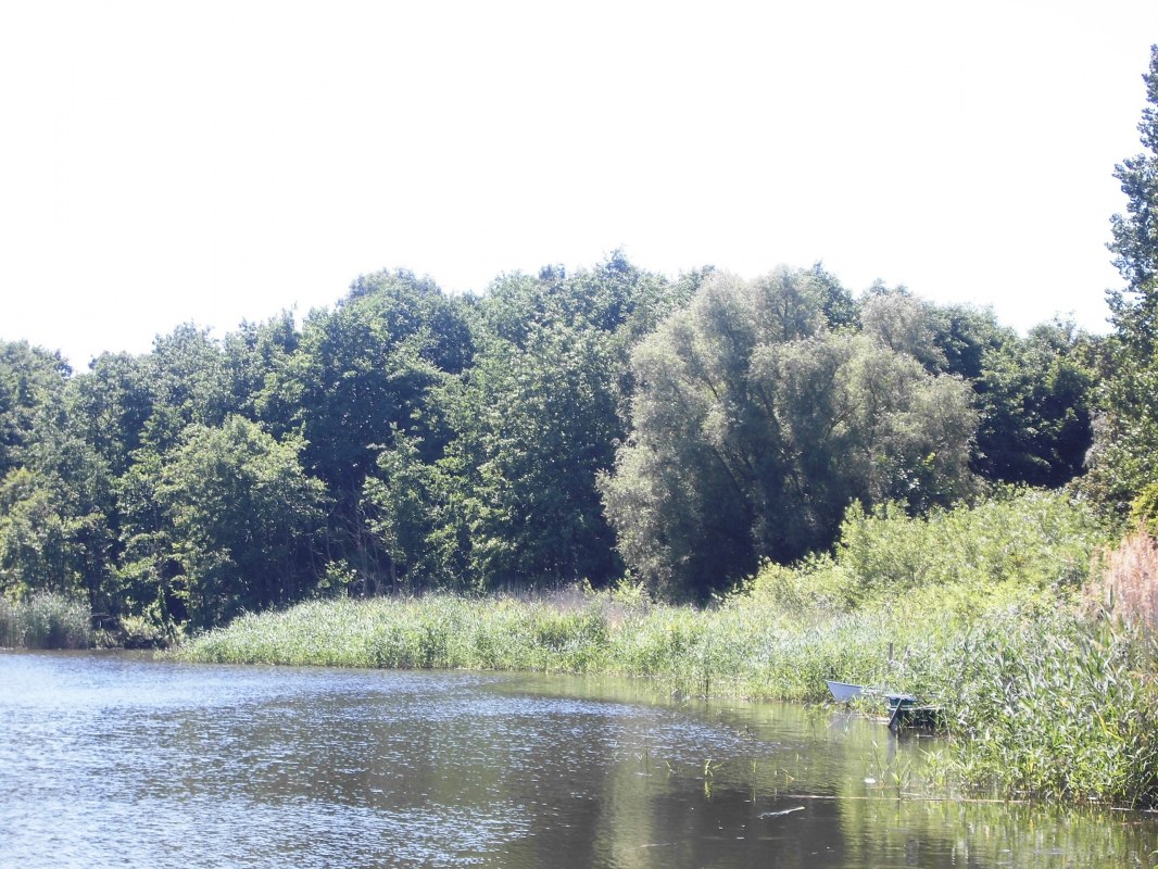 &copy; 201513.jpg