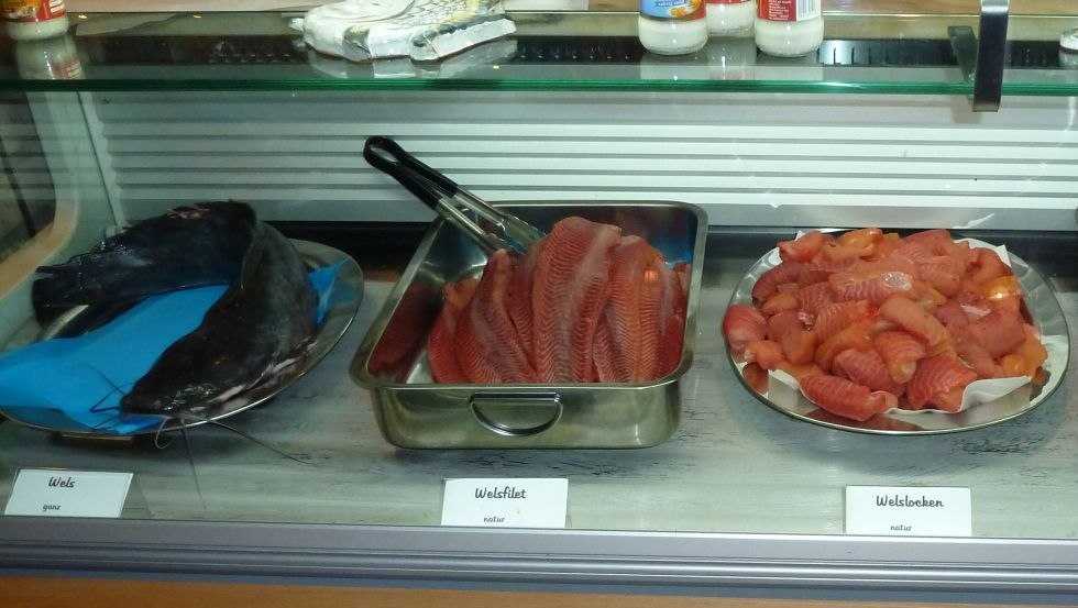 Catfish in all variations - as catfish meatball, catfish skewer, as fillet or also smoked, © TMV/Trampnau Catfish in all variations - as catfish meatball, catfish skewer, as fillet or also smoked, © TMV/Trampnau