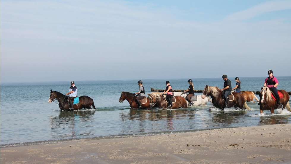Paardrijden aan de Bodden en Baltische kust // &copy; Reit- und Feriencamp Illner