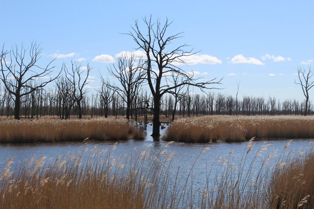 IMG_1535, © AFL IMG_1535, © AFL