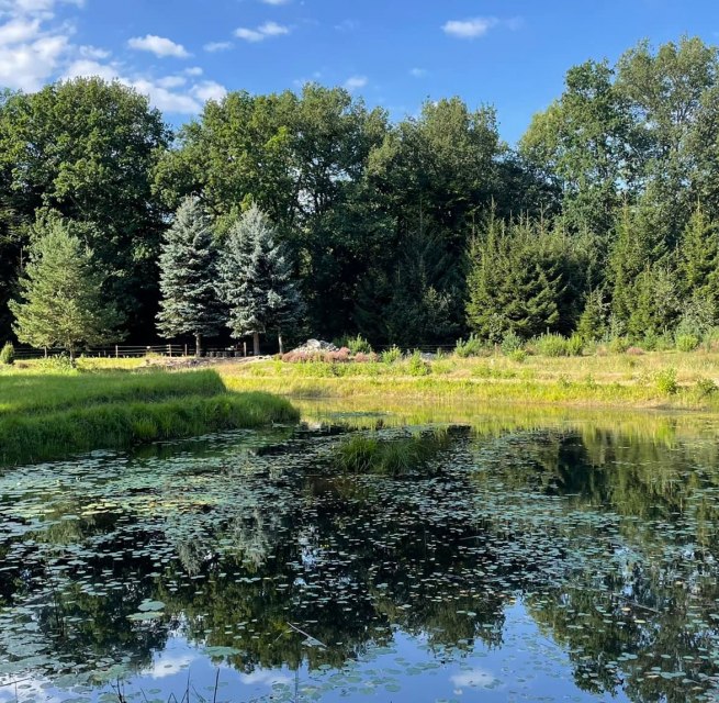 © TZ Südliche Boddenküste © TZ Südliche Boddenküste