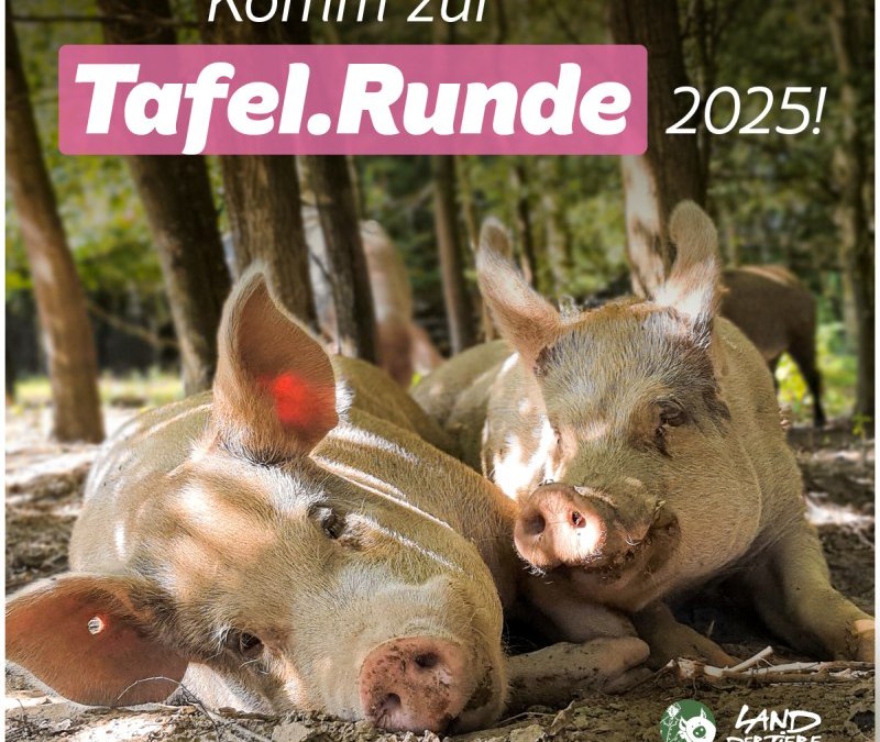 ldt_tafelrunde_2025, © Land der Tiere