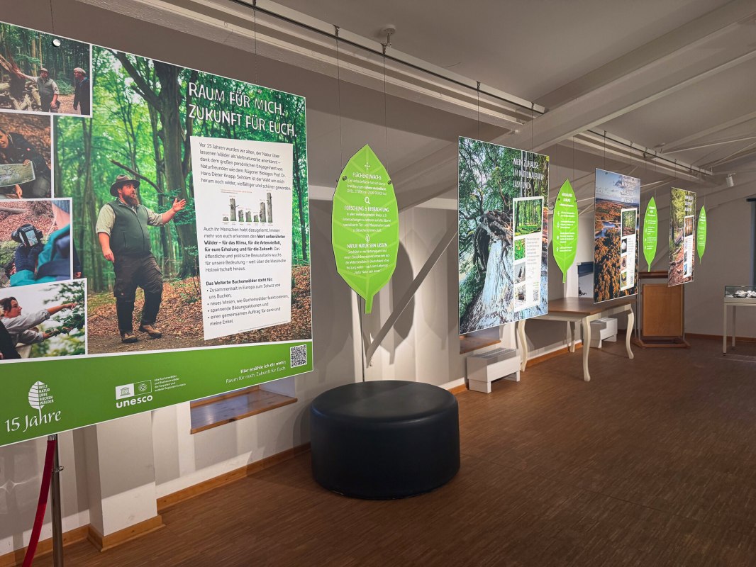 &copy; Nationalpark-Zentrum K&Ouml;NIGSSTUHL
