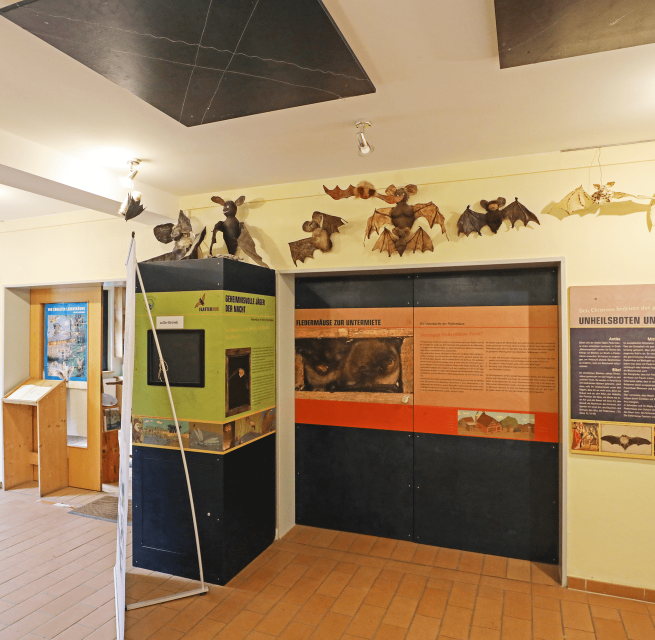 © TMV/Gohlke © TMV/Gohlke