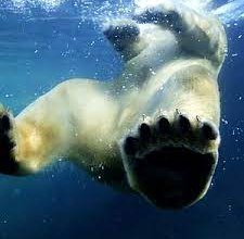 © Basiskulturfabrik GmbH