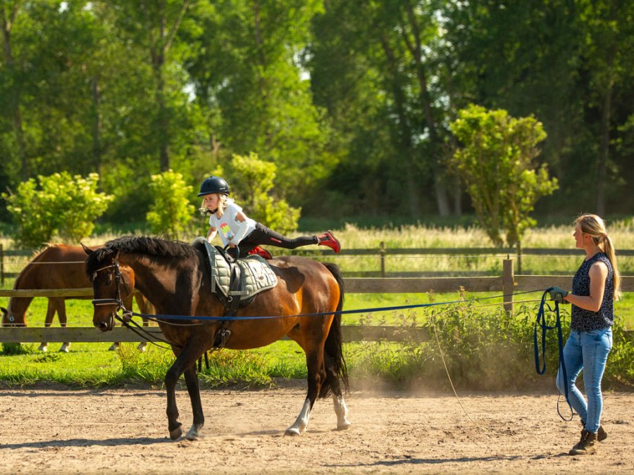 Volticamp dla dzieci w wieku 5-10 lat. Oferta wakacyjna od poniedziałku do piątku w godz. 9:00-12:00., © Fotografie Ulrike Pawandenat Volticamp dla dzieci w wieku 5-10 lat. Oferta wakacyjna od poniedziałku do piątku w godz. 9:00-12:00., © Fotografie Ulrike Pawandenat