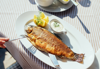 &copy; TMV/ Felix G&auml;nsicke