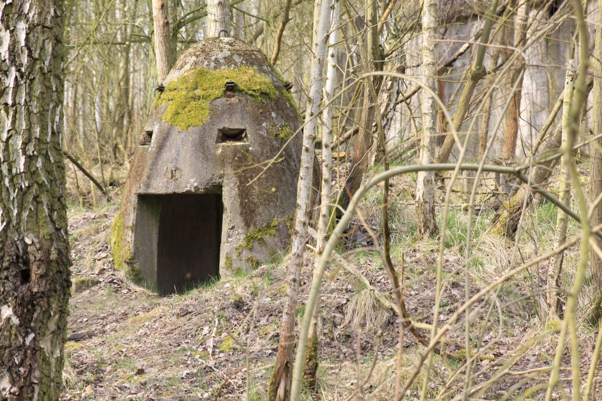 Ruin of the former hydrogenation works, © Pomorze Zachodnie Ruin of the former hydrogenation works, © Pomorze Zachodnie