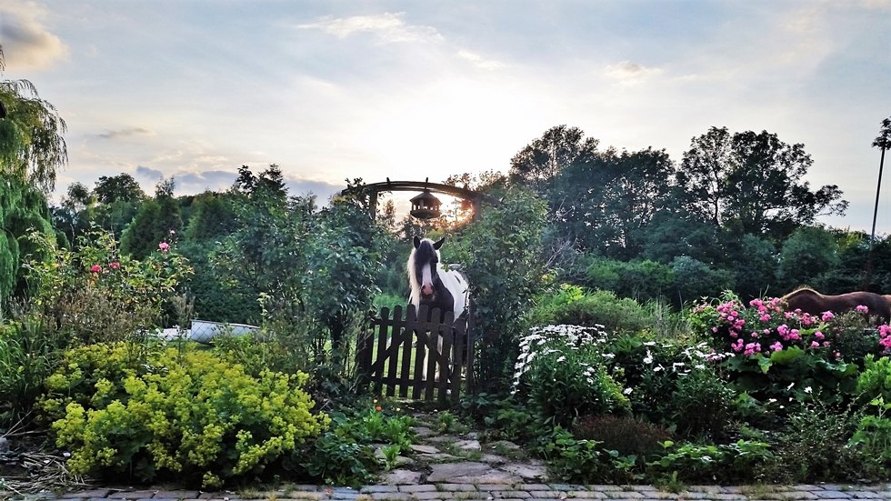 Bajkowa godzina Duli w stajni jeździeckiej Reinecke, &copy; Elisabeth Reinecke