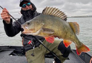 MV Guiding - Moritz Schulz // &copy; Moritz Schulz