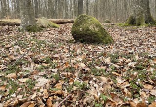 &copy; TZ S&uuml;dliche Boddenk&uuml;ste