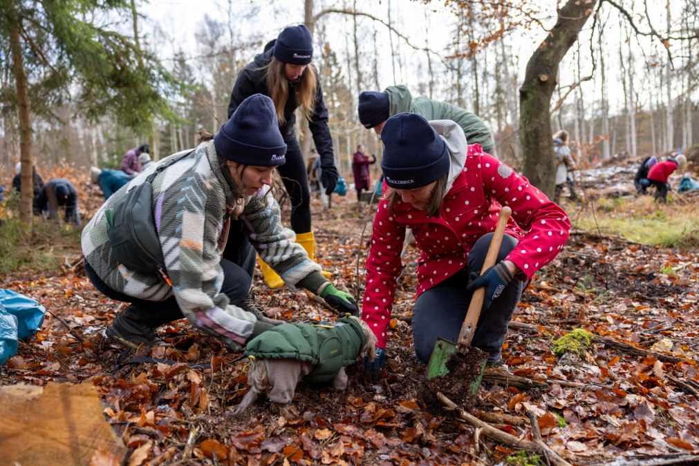 Twee- en viervoeters planten ijverig bomen., © Rostocker Citylauf e.V. Twee- en viervoeters planten ijverig bomen., © Rostocker Citylauf e.V.
