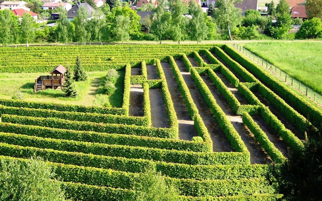 Maze at the Waldeck in Dargun, © Stadt Dargun