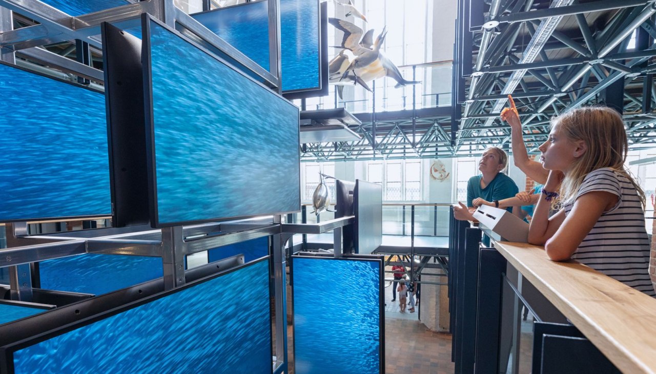 © Anke Neumeister/Deutsches Meeresmuseum