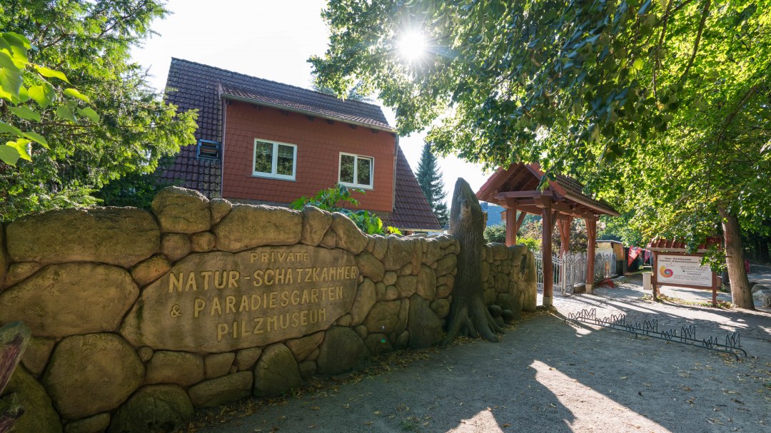 Naturschatzkammer (2)-min, © Moritz Kertzscher