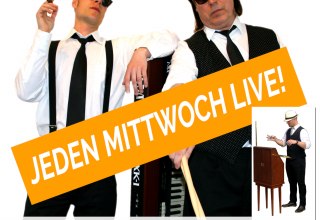 &copy; www.meyer-theremin.de