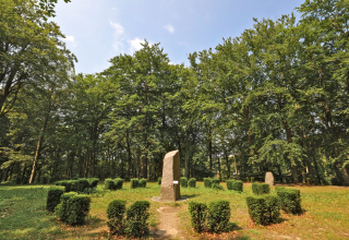 © TMV/Gohlke © TMV/Gohlke