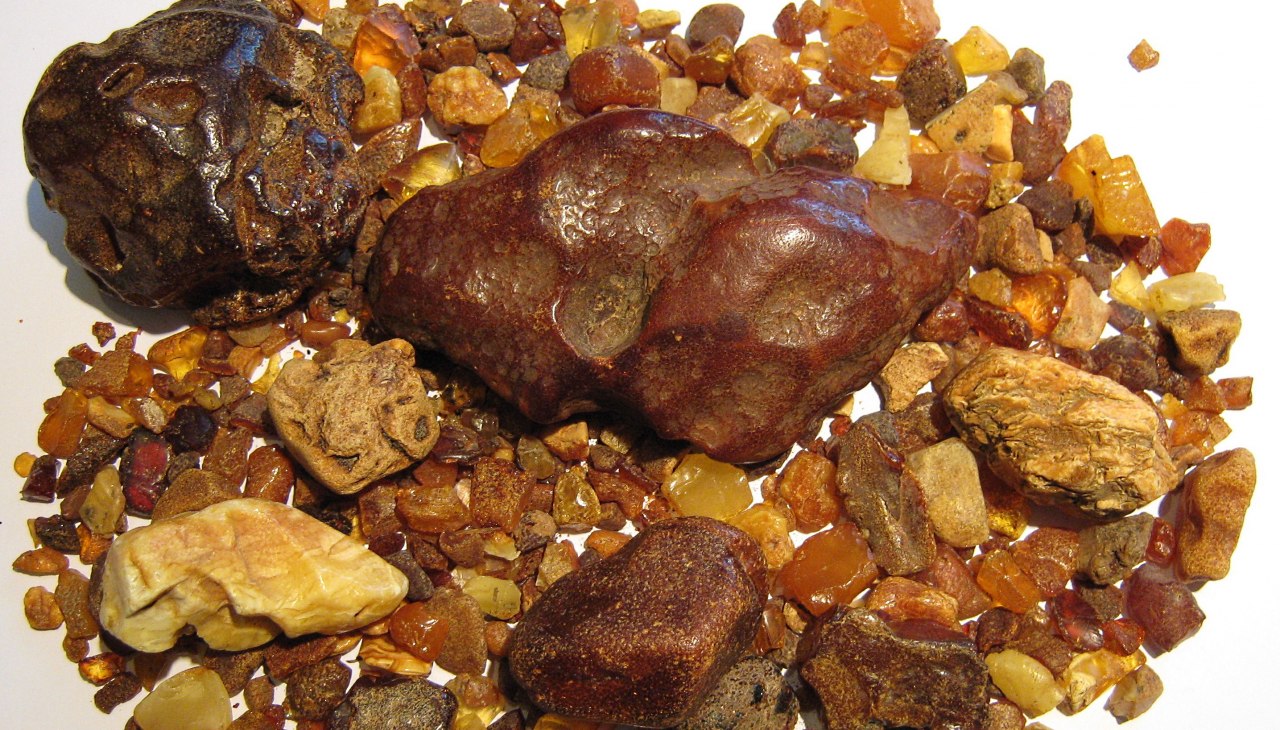 Amber van de lagunekust, © Hartwig K. Neuwald Amber van de lagunekust, © Hartwig K. Neuwald