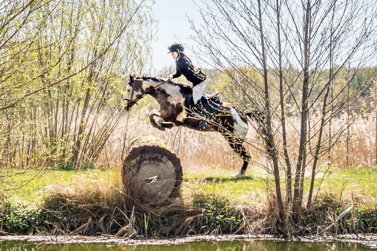 Paardrijjacht aan de Oostzee // © Martha Eugenia Bende Paardrijjacht aan de Oostzee // © Martha Eugenia Bende