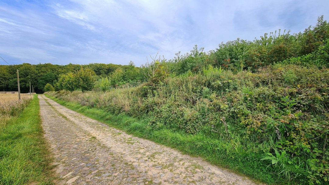 20240830_132407, © Landesforst MV 20240830_132407, © Landesforst MV