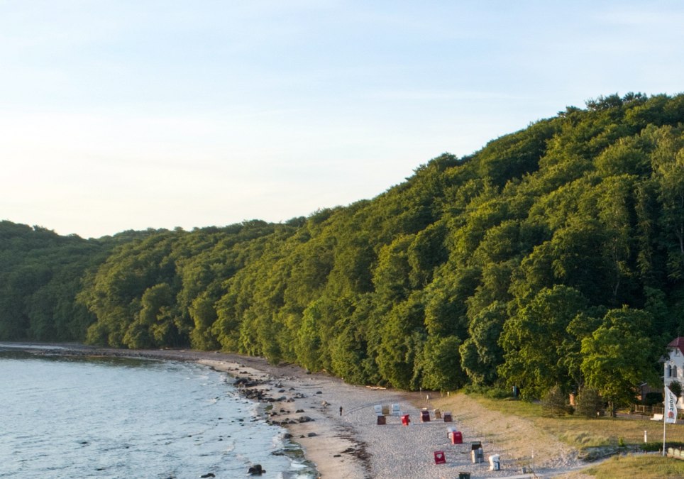 Dla dzieci: odkrywanie lasu i plaży z leśniczym, © Binzer Bucht Tourismus