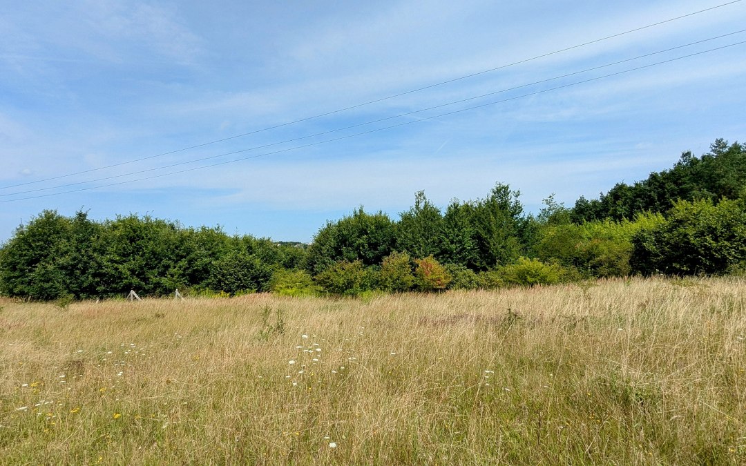 Klimaatbos Neubrandenburg, © Landesforst MV