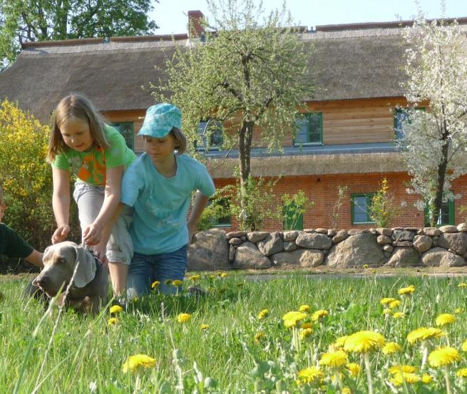 Vakantie voor het hele gezin op de boerderij // © Ostsee-Bauernhof-Hocke Vakantie voor het hele gezin op de boerderij // © Ostsee-Bauernhof-Hocke