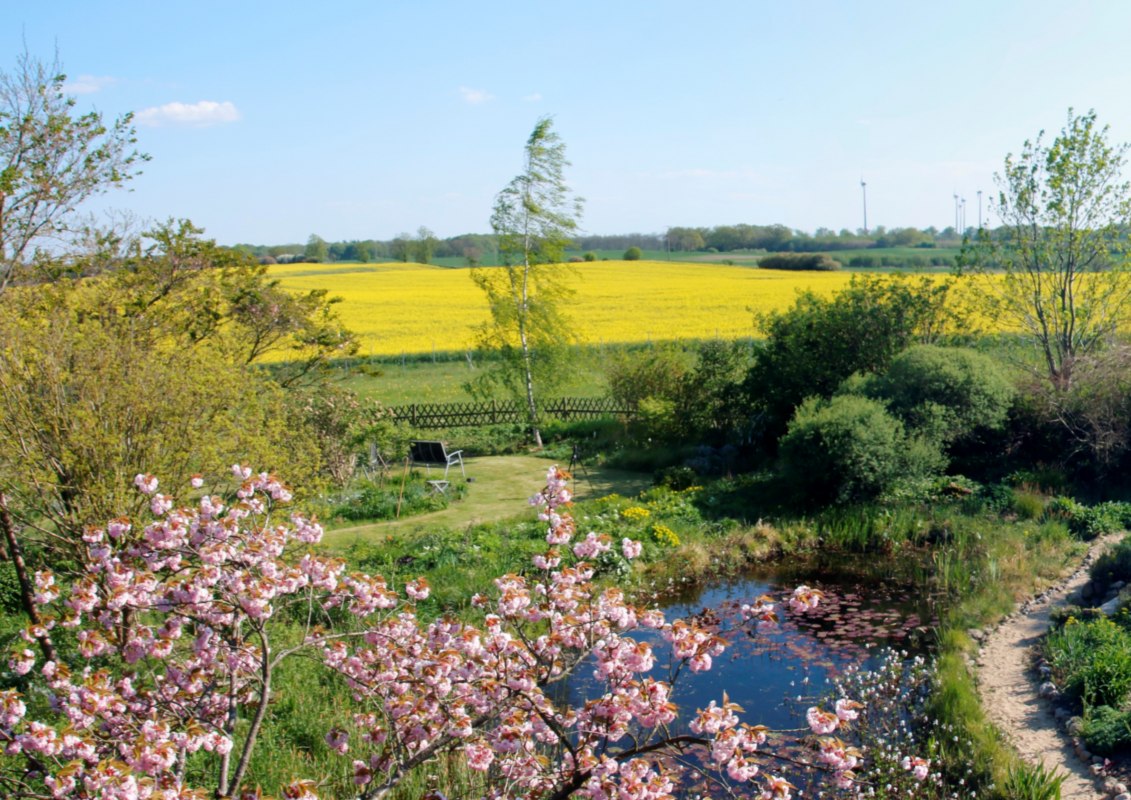 Lente - met koolzaadbloesem in mei, © Claus Gering Lente - met koolzaadbloesem in mei, © Claus Gering