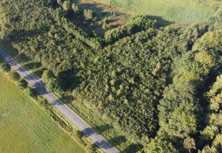 Climate forest Bützow, © Landesforst MV Climate forest Bützow, © Landesforst MV