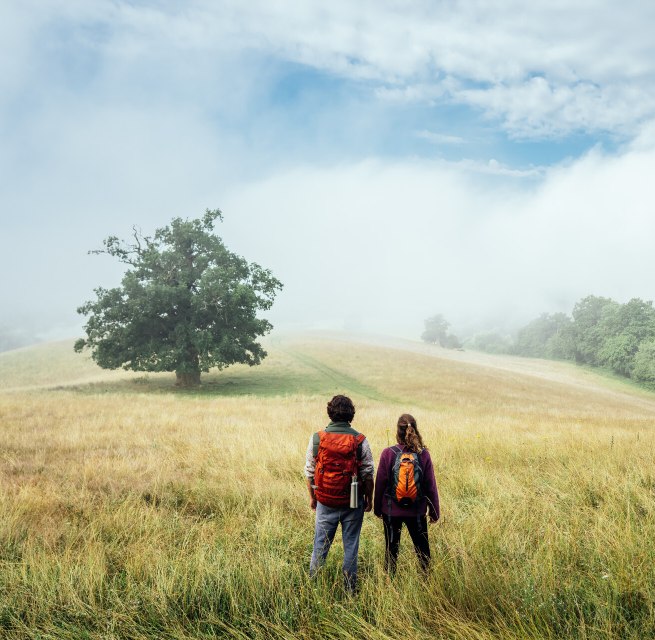 Wandern auf dem Naturparkweg durch die Landschaft der Mecklenburgischen Seenplatte beim Rötelberg // © MV-T/Gänsicke Wandern auf dem Naturparkweg durch die Landschaft der Mecklenburgischen Seenplatte beim Rötelberg // © MV-T/Gänsicke