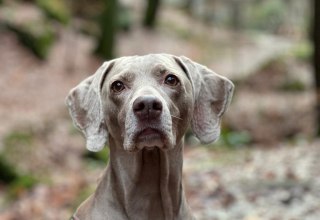 © Erlebnis Akademie AG/NEZR