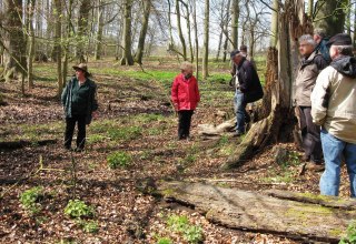 &copy; Biosph&auml;renreservat Schaalsee-Elbe