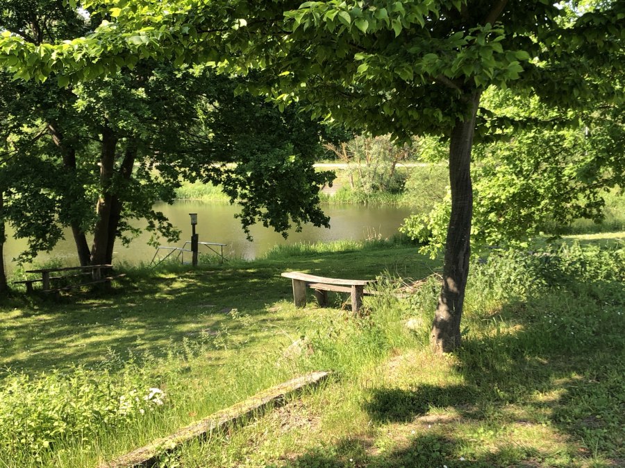 Staw młyński (południowy koniec zbiornika Brohmer) bezpośrednio na placu, © SG