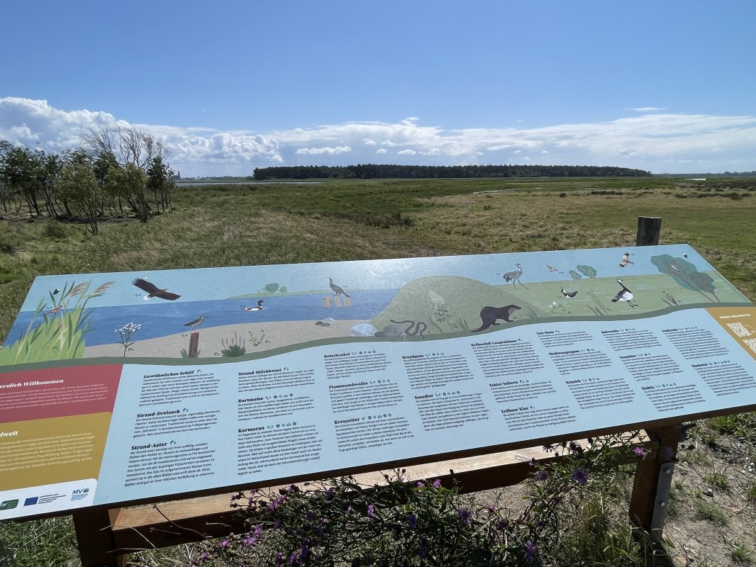 &copy; TZ S&uuml;dliche Boddenk&uuml;ste