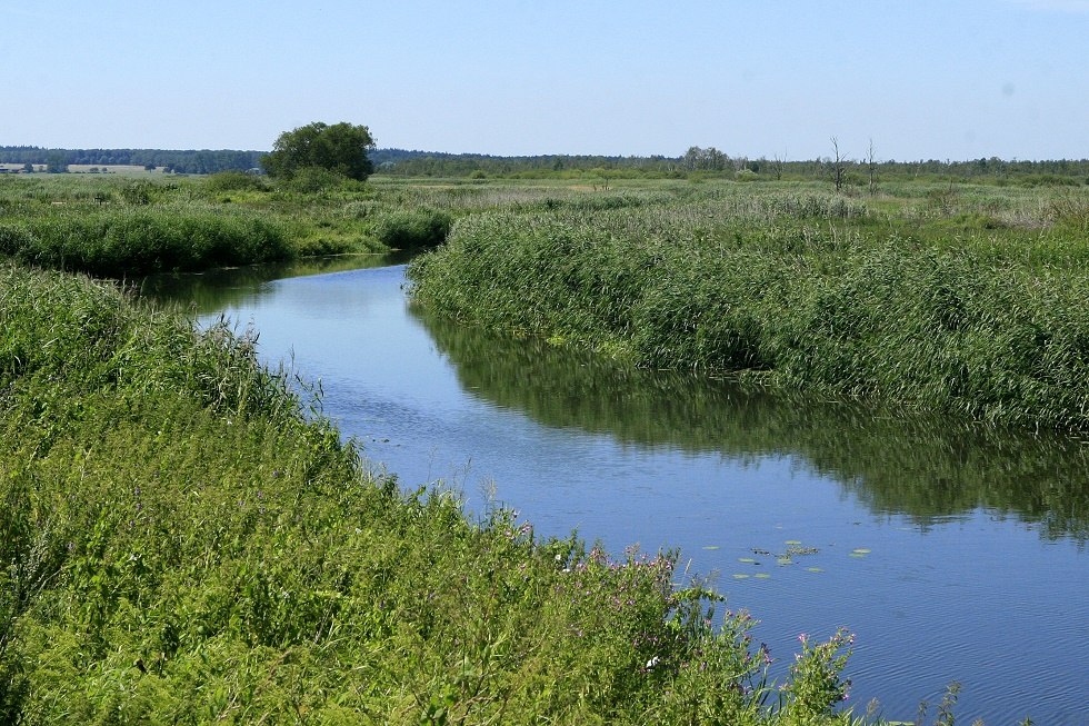 Trebel Valley, © Sabrina Wittkopf-Schade Trebel Valley, © Sabrina Wittkopf-Schade