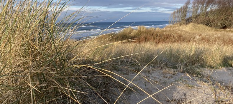 West Strand Winter // © Katrin Bärwald West Strand Winter // © Katrin Bärwald