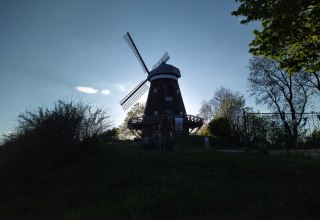 © Peter Drews © Peter Drews