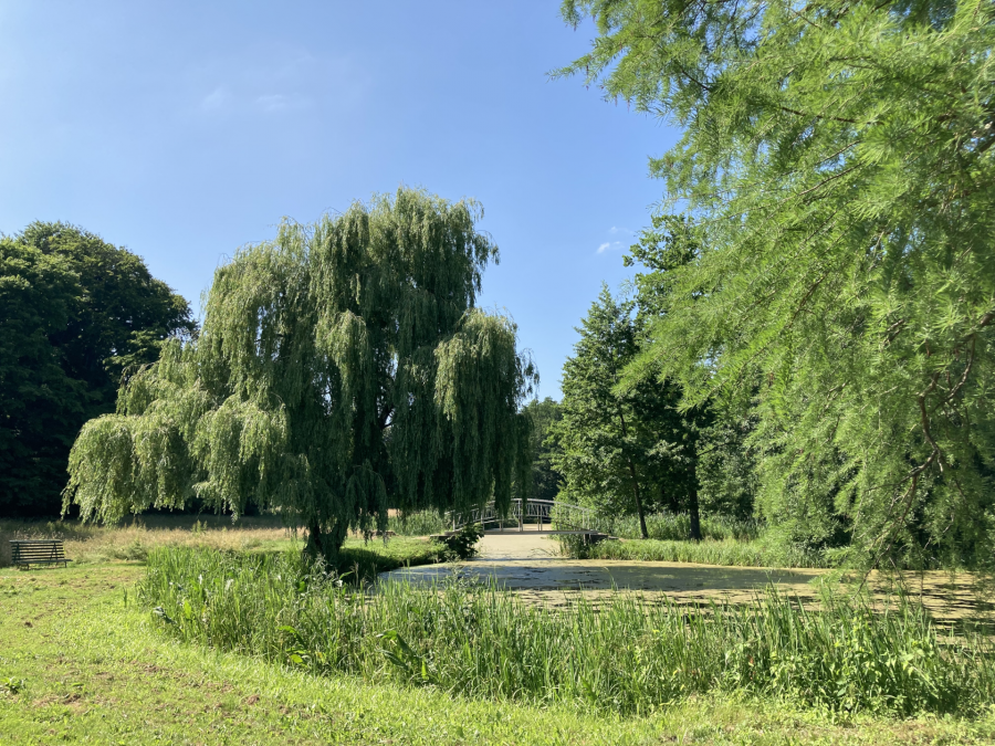 W Semlow Castle Park, © Tourismusverein VR/Manuela Steimle