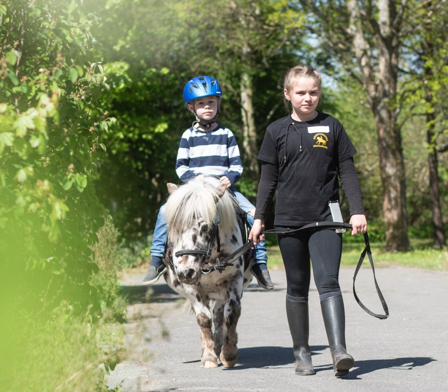 Day at the stables for children aged 6 and over: Riding, pony games, grooming & care from 10-15 hrs. An eventful day at the riding stables. // &copy; de